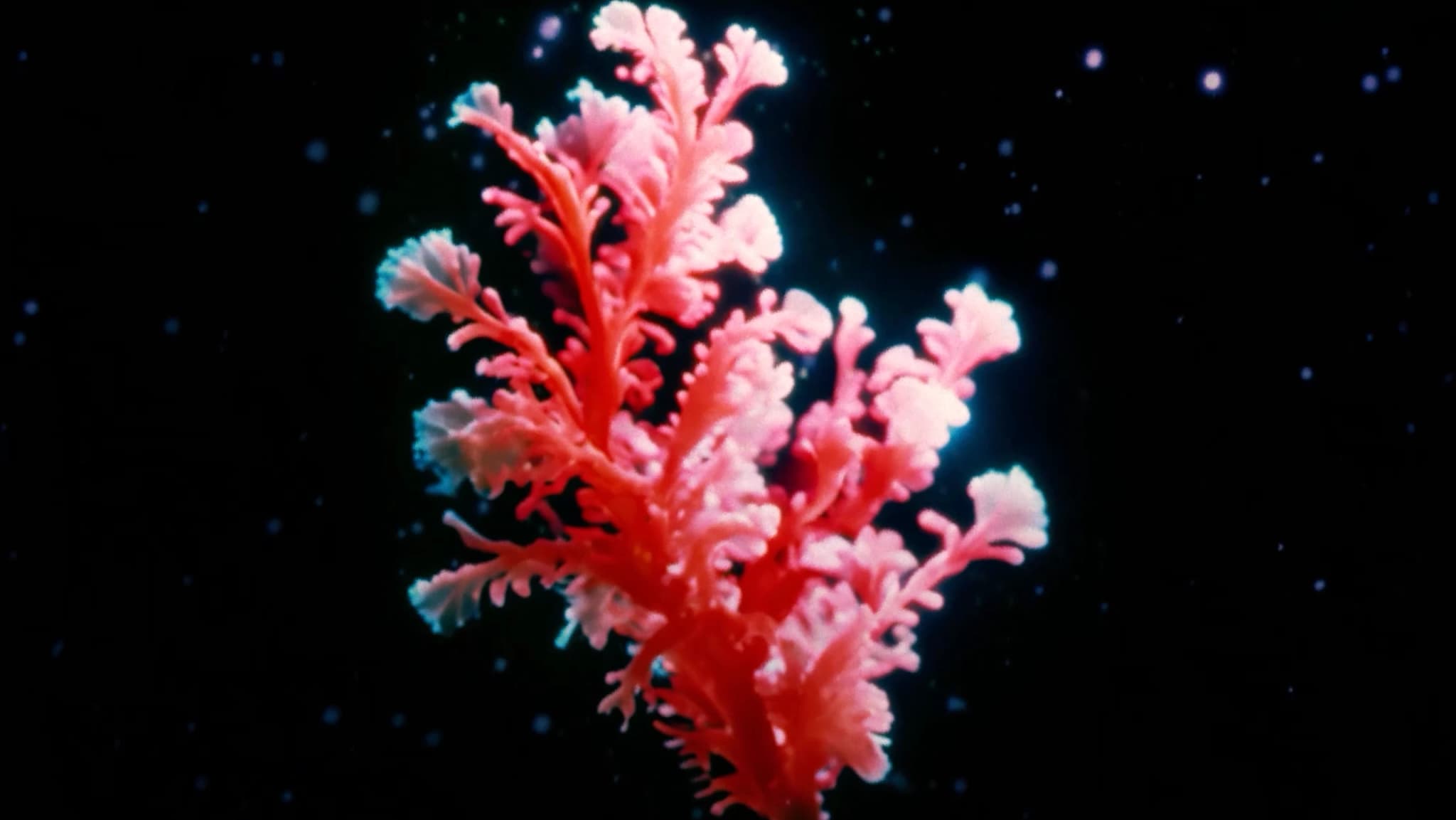 Crystal Abyss: Secrets of the Deep