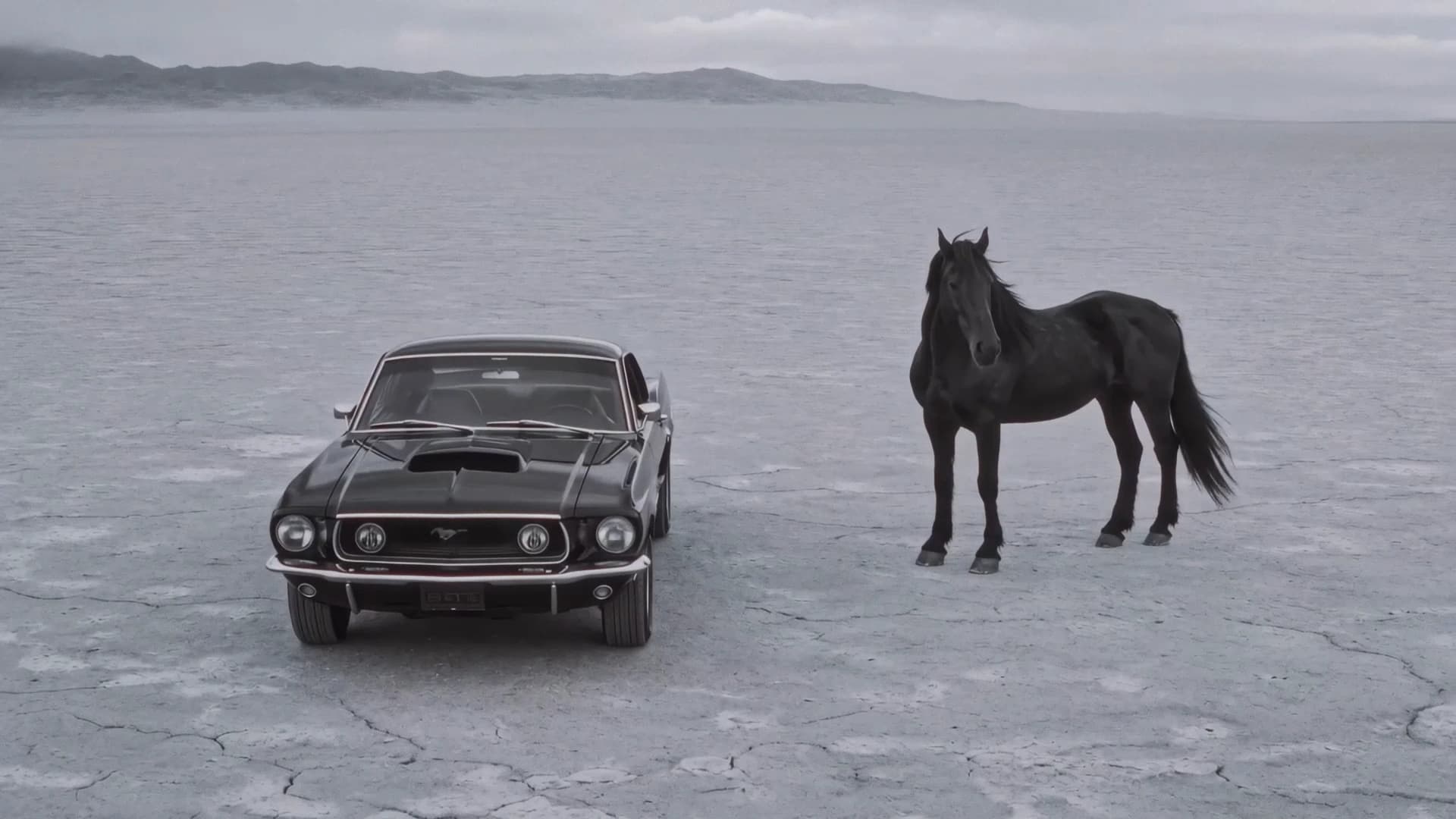 Mustang '69
