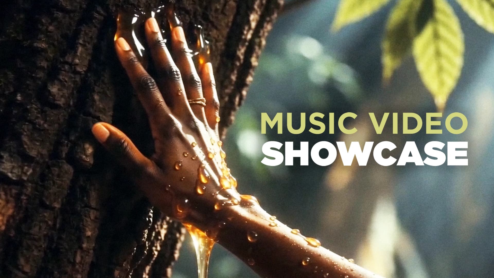 AI Music Video Showcase